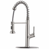1-Handle Pulldown Kitchen Faucet