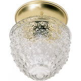 1-Light 6 In. Ceiling Fixture