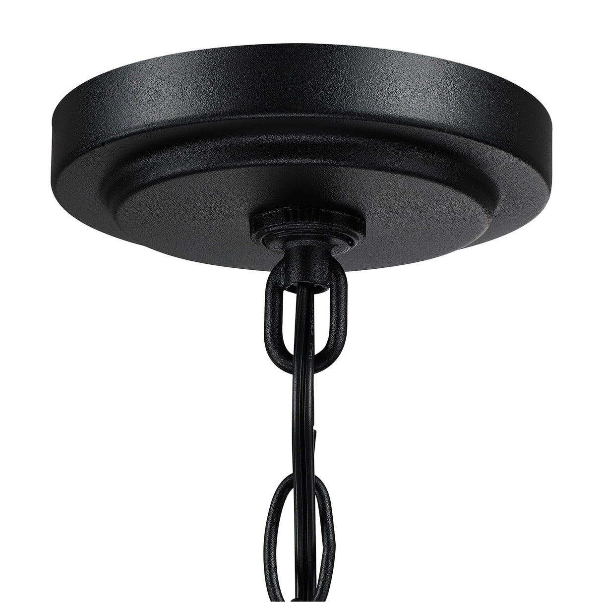 1-Light Matte Black and Barnwood Accents Outdoor Hanging Pendant Light