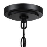 1-Light Matte Black and Barnwood Accents Outdoor Hanging Pendant Light
