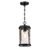 1-Light Matte Black and Barnwood Accents Outdoor Hanging Pendant Light