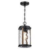 1-Light Matte Black and Barnwood Accents Outdoor Hanging Pendant Light