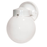 1-Light Outdoor Wall Fixture
