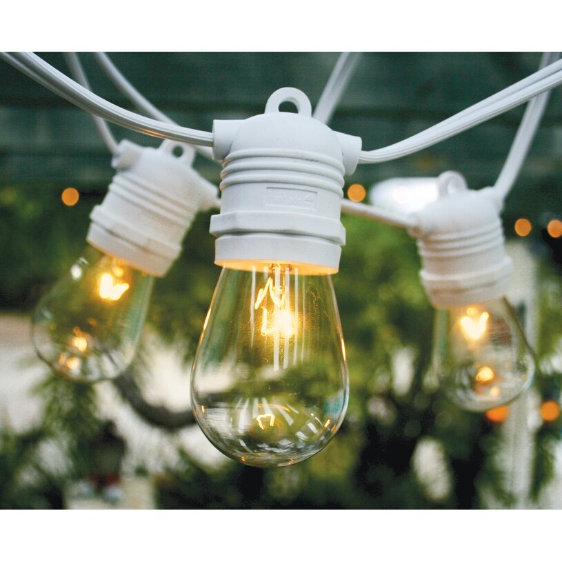 10 Socket Outdoor Commercial Grade Patio String Light Set - Medium