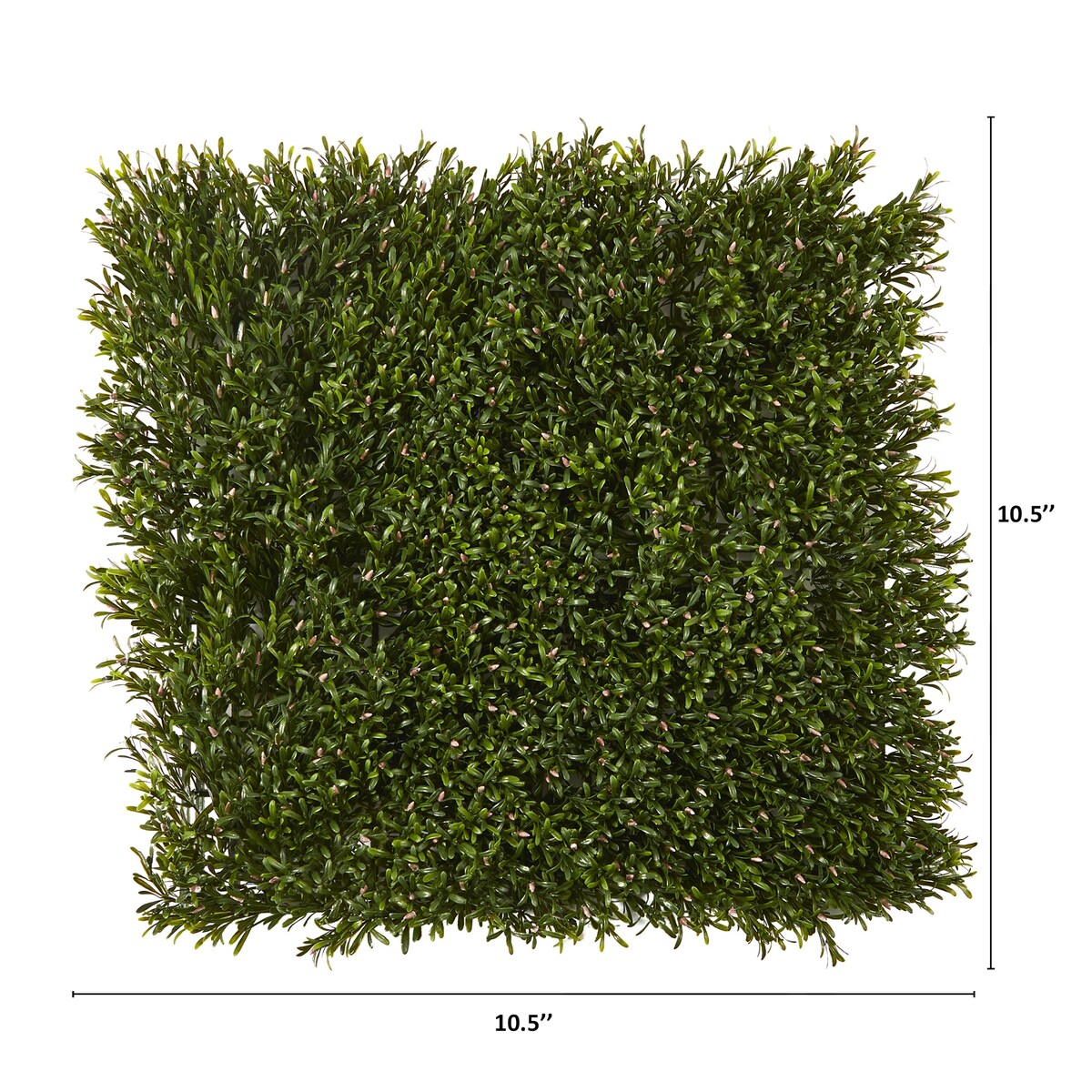 10.5" x 10.5" Rosemary Wall Mat UV (Indoor/Outdoor) (Set of 4)