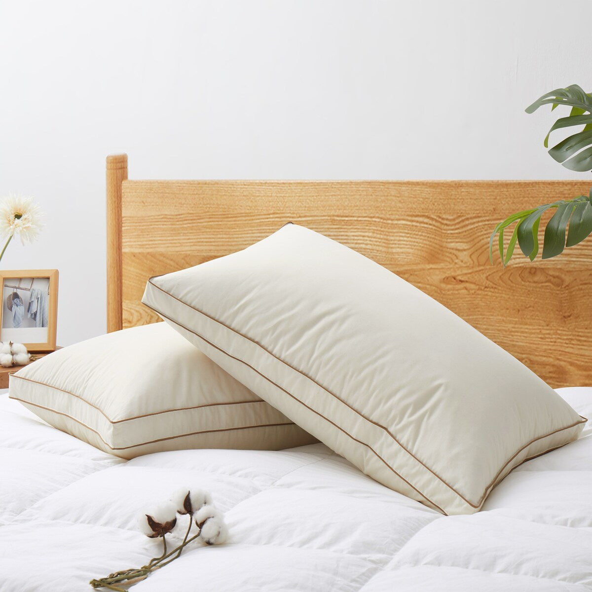 Set of 2 100% Organic Cotton 300 TC Down Feather Pillow-in-a-pillow Design Bed Pillow - White