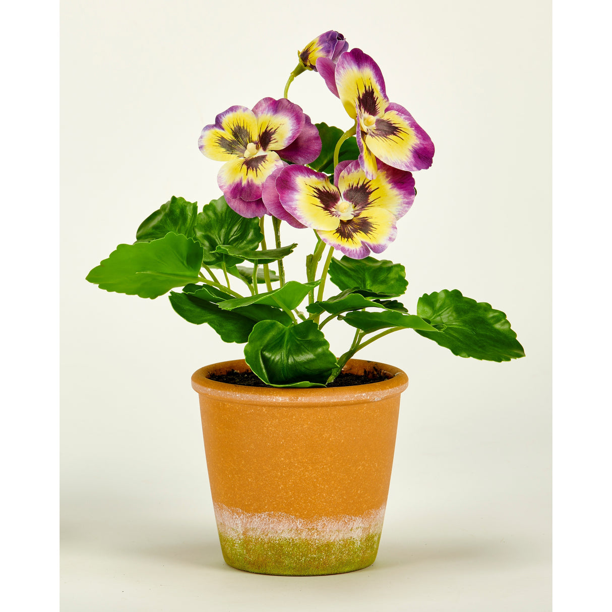 10" Pansy in 4" Clay Look Pot, Purple - 10