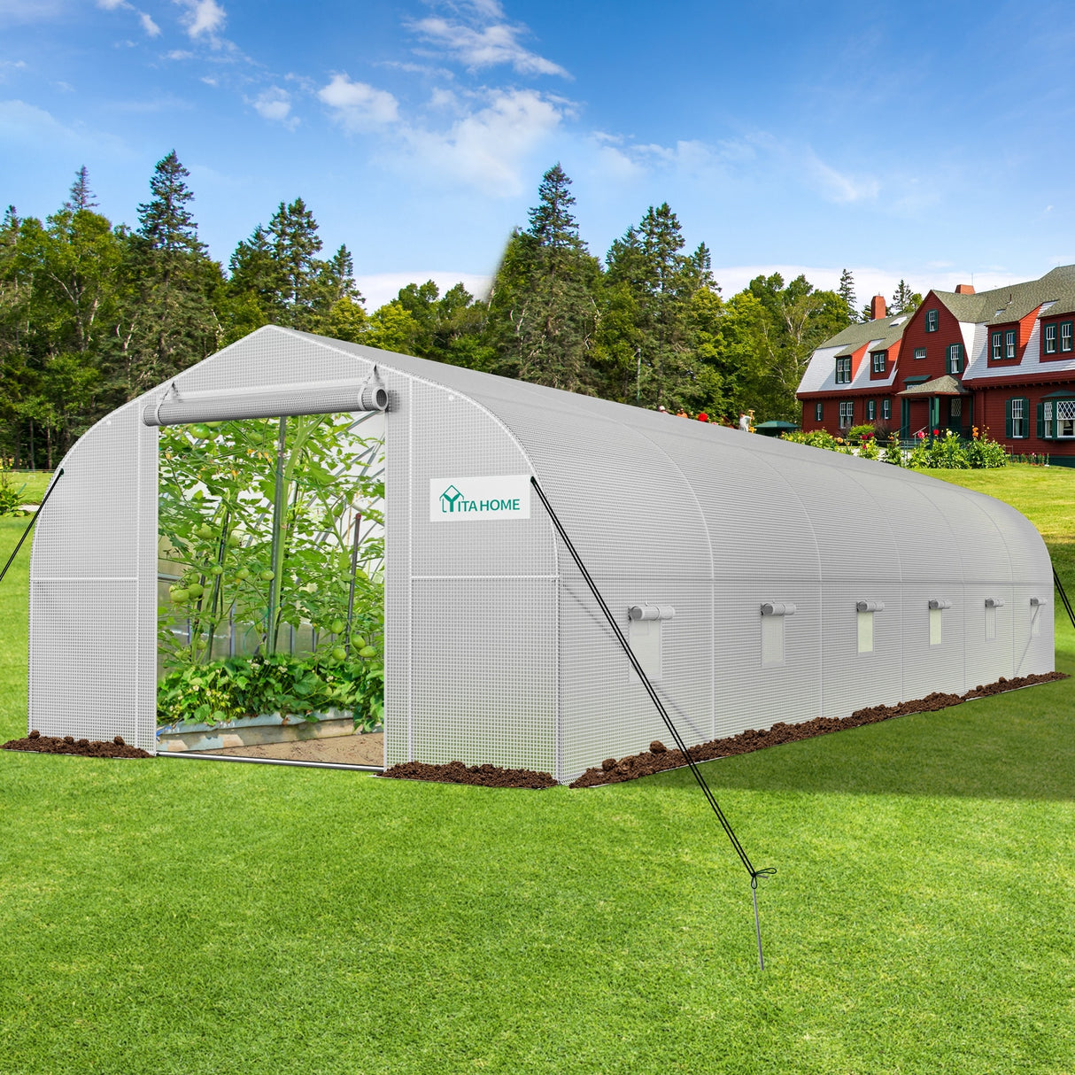 10'W X 20'/30'D Walk-In Greenhouse