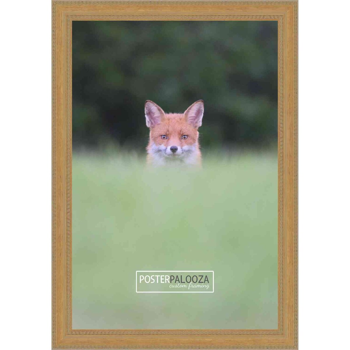 10x14 Traditional Antique Gold Complete Wood Picture Frame with UV Acrylic, Foam Board Backing, & Hardware