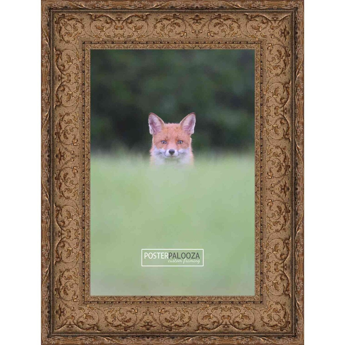 10x5 Ornate Antique Gold Complete Wood Picture Frame with UV Acrylic, Foam Board Backing, & Hardware