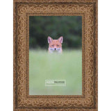 10x5 Ornate Antique Gold Complete Wood Picture Frame with UV Acrylic, Foam Board Backing, & Hardware