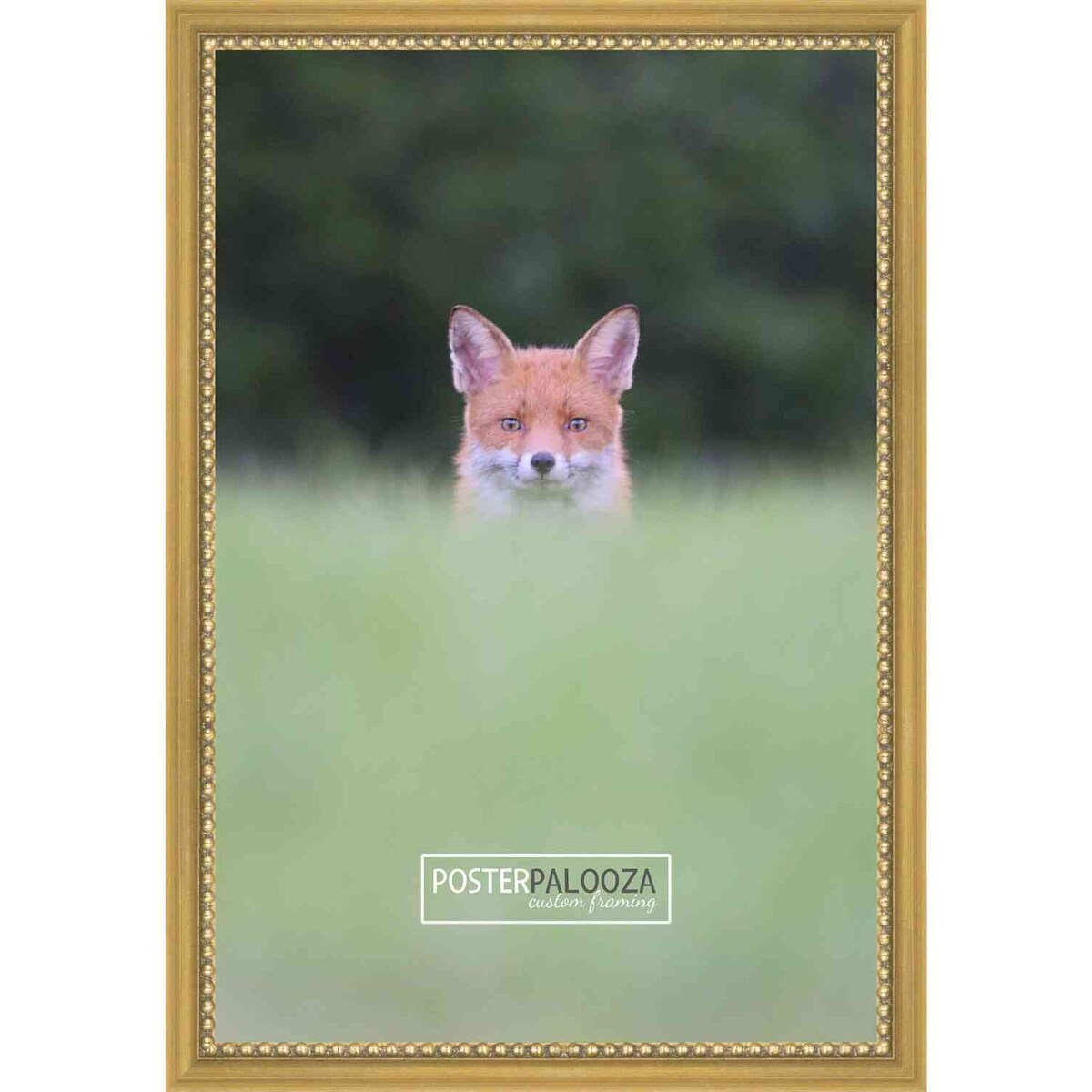 10x6 Traditional Antique Gold Complete Wood Picture Frame with UV Acrylic, Foam Board Backing, & Hardware