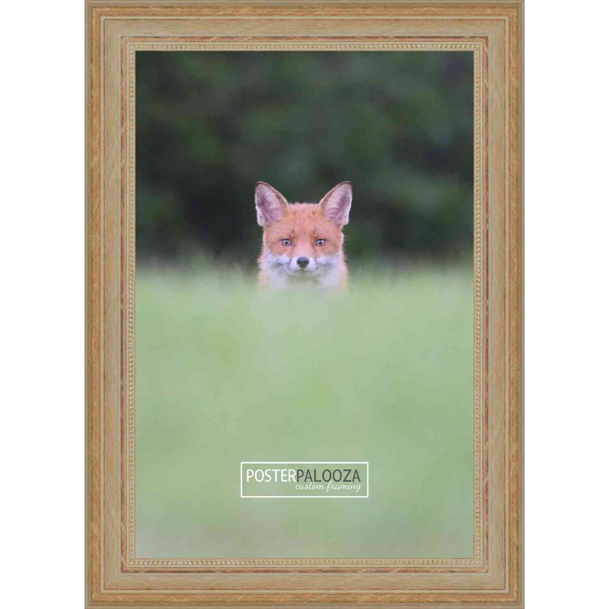 10x8 Traditional Antique Gold Complete Wood Picture Frame with UV Acrylic, Foam Board Backing, & Hardware