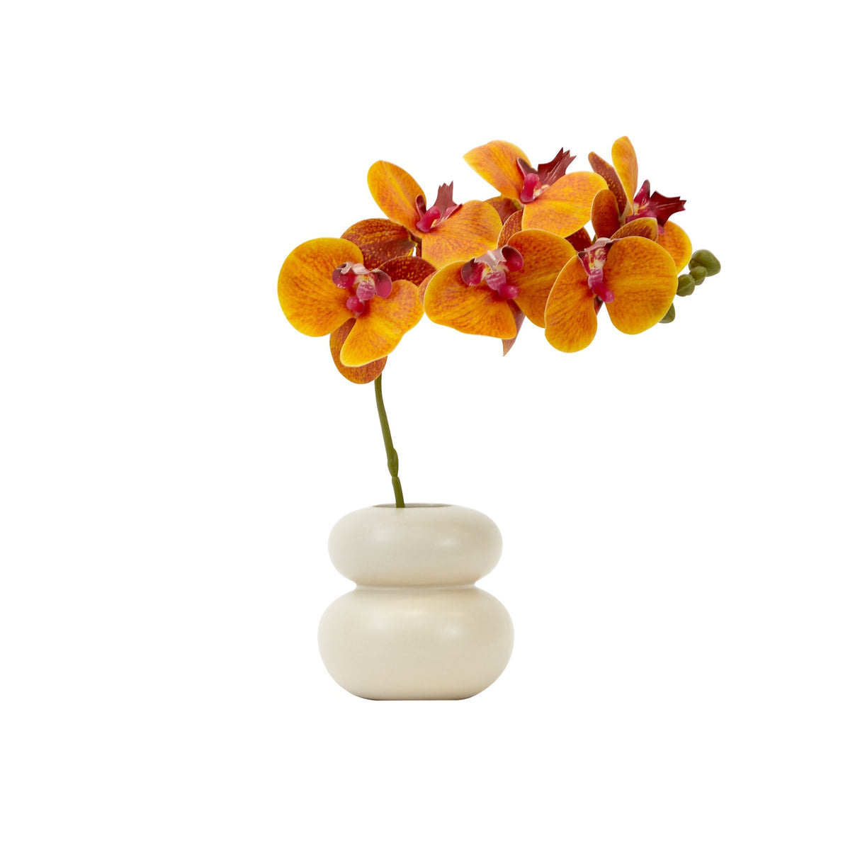 11.5" Artificial Real Touch Phalaenopsis Orchid Arrangement with Vase