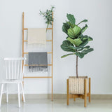 11.8 in Mid Century Plant Holder