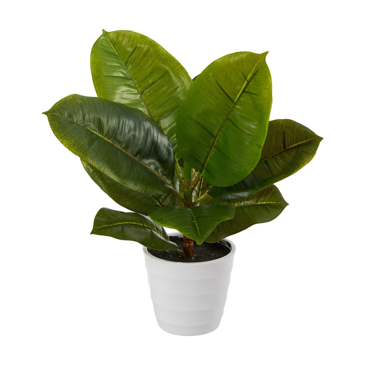 11" Rubber Leaf Artificial Plant in White Planter (Real Touch) - 3.25"
