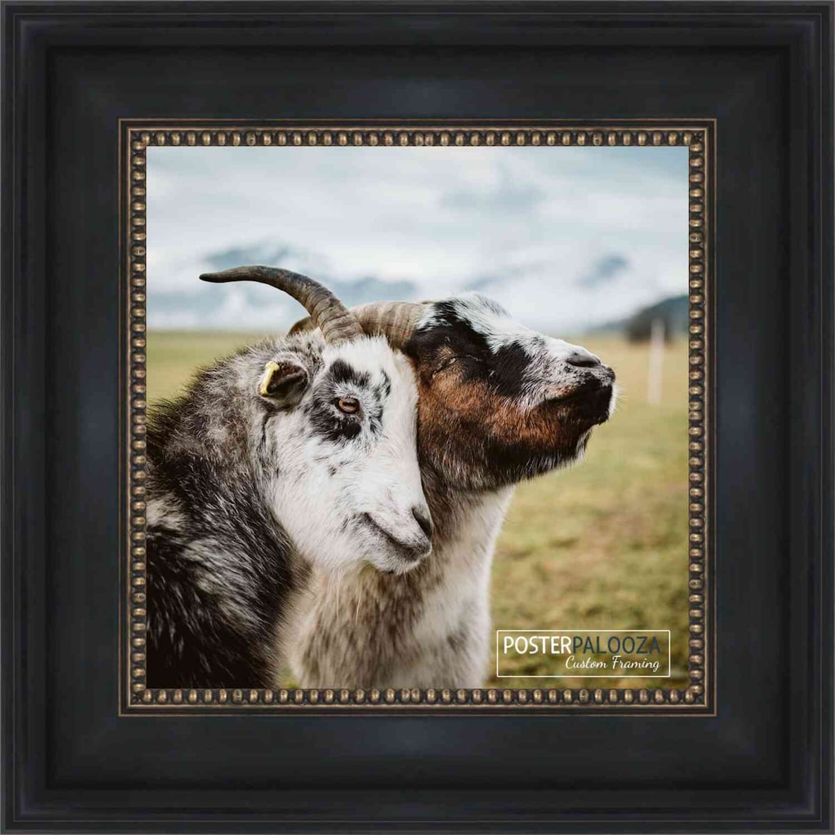 11x11 Traditional Black Complete Wood Square Picture Frame with UV Acrylic, Foam Board Backing, & Hardware