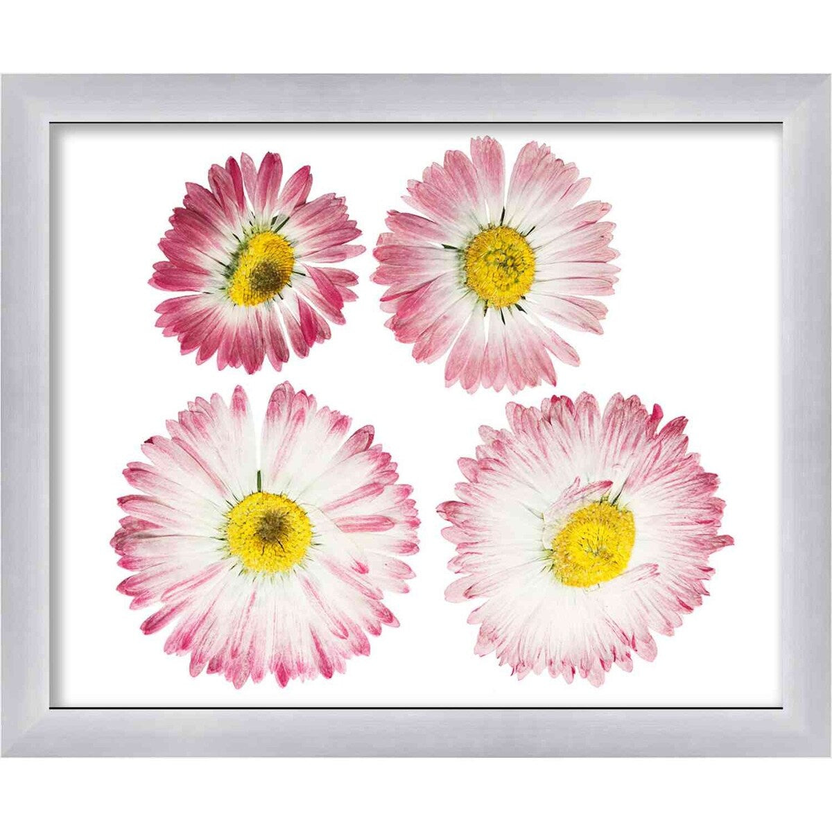 11x15 Silver Shadowbox Frame - Interior Size 11x15 by 1 Inch Deep - This Silver Frame Is Made to Display Items Up To 1 Inch Deep