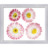 11x15 Silver Shadowbox Frame - Interior Size 11x15 by 1 Inch Deep - This Silver Frame Is Made to Display Items Up To 1 Inch Deep