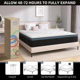12 Inch Pillow Top Medium Firm Memory Foam Hybird Mattress in a Box