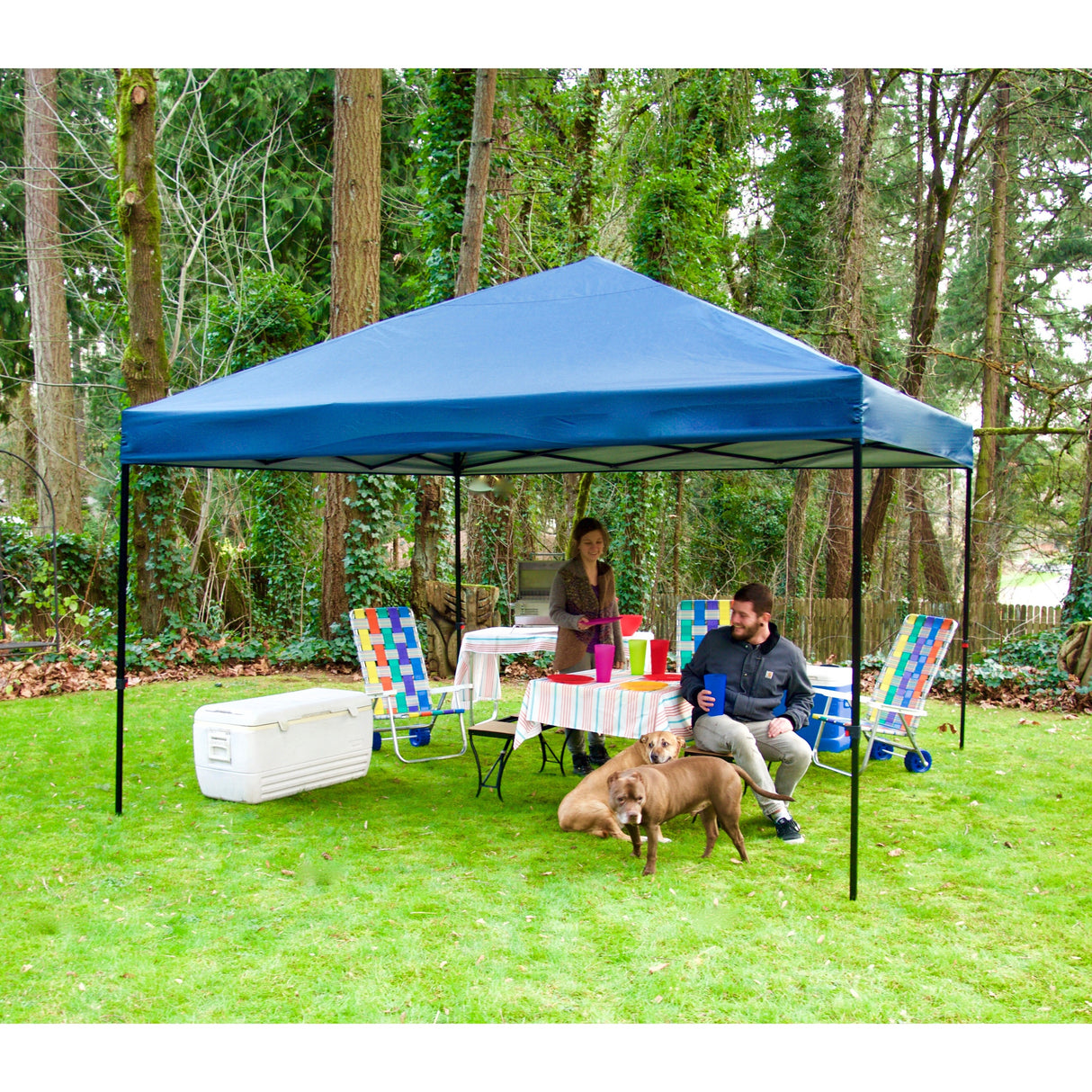 12' x 12' Blue Pop Up Gazebo