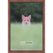 12x18 Traditional Mahogany Complete Wood Picture Frame with UV Acrylic, Foam Board Backing, & Hardware