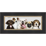 12x36 Contemporary Black Complete Wood Panoramic Frame with UV Acrylic, Foam Board Backing, & Hardware