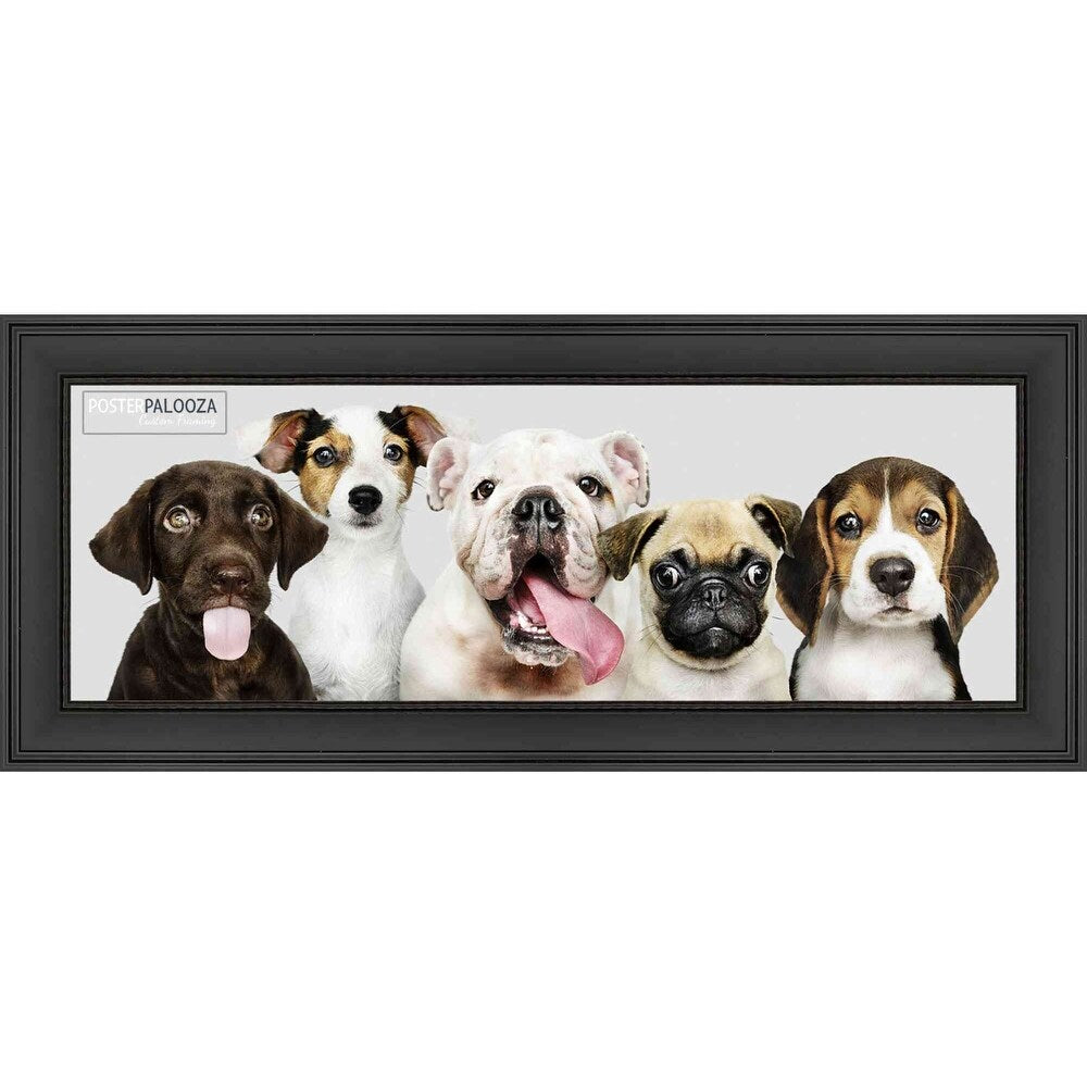 12x36 Traditional Black Complete Wood Panoramic Frame with UV Acrylic, Foam Board Backing, & Hardware