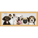 12x36 Traditional Gold Complete Wood Panoramic Frame with UV Acrylic, Foam Board Backing, & Hardware