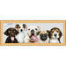 12x36 Traditional Gold Complete Wood Panoramic Frame with UV Acrylic, Foam Board Backing, & Hardware