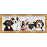 12x4 Frame Gold Bamboo Solid Wood Picture Frame with UV Acrylic, Foam Board Backing & Hanging Hardware Included