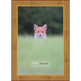 12x6 Traditional Gold Complete Wood Picture Frame with UV Acrylic, Foam Board Backing, & Hardware
