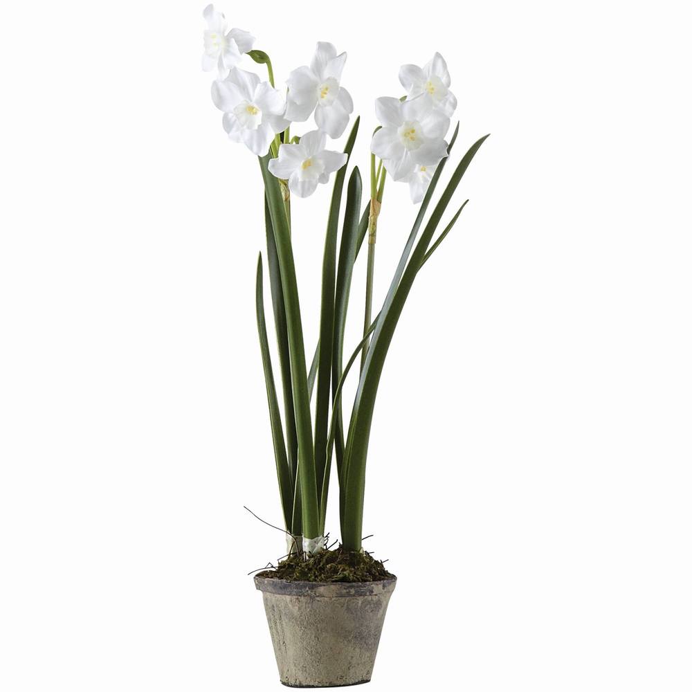 17-inch Table Orchid Garden (Pack of 2)