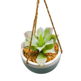 13" Succulents Hanging Planter In Colorful Ceramic Pot