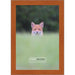 13x19 Traditional Honey Pecan Complete Wood Picture Frame with UV Acrylic, Foam Board Backing, & Hardware