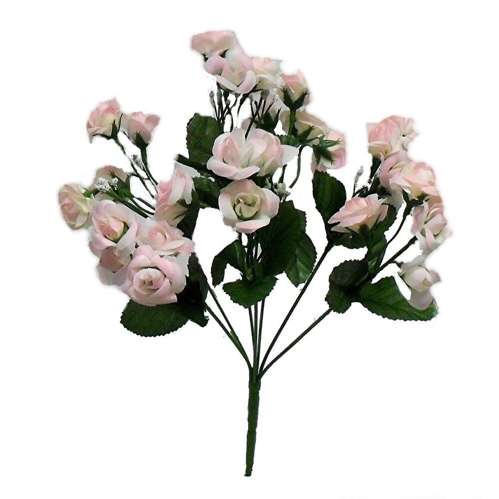 14.5" Mini Open rose bush x 5
