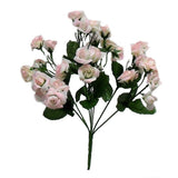 14.5" Mini Open rose bush x 5