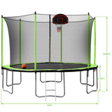 14FT Trampoline with Basketball Reinforced Jumping Mat and Ladder