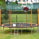 14FT Trampoline with Basketball Reinforced Jumping Mat and Ladder
