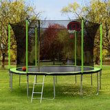 14FT Trampoline with Basketball Reinforced Jumping Mat and Ladder