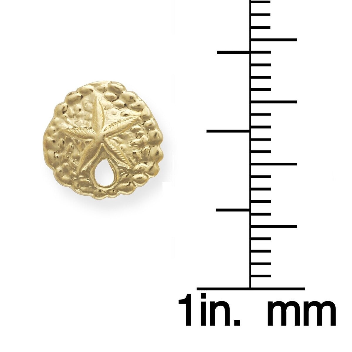 14k Yellow Gold Sand-dollar Post Earrings - Orange