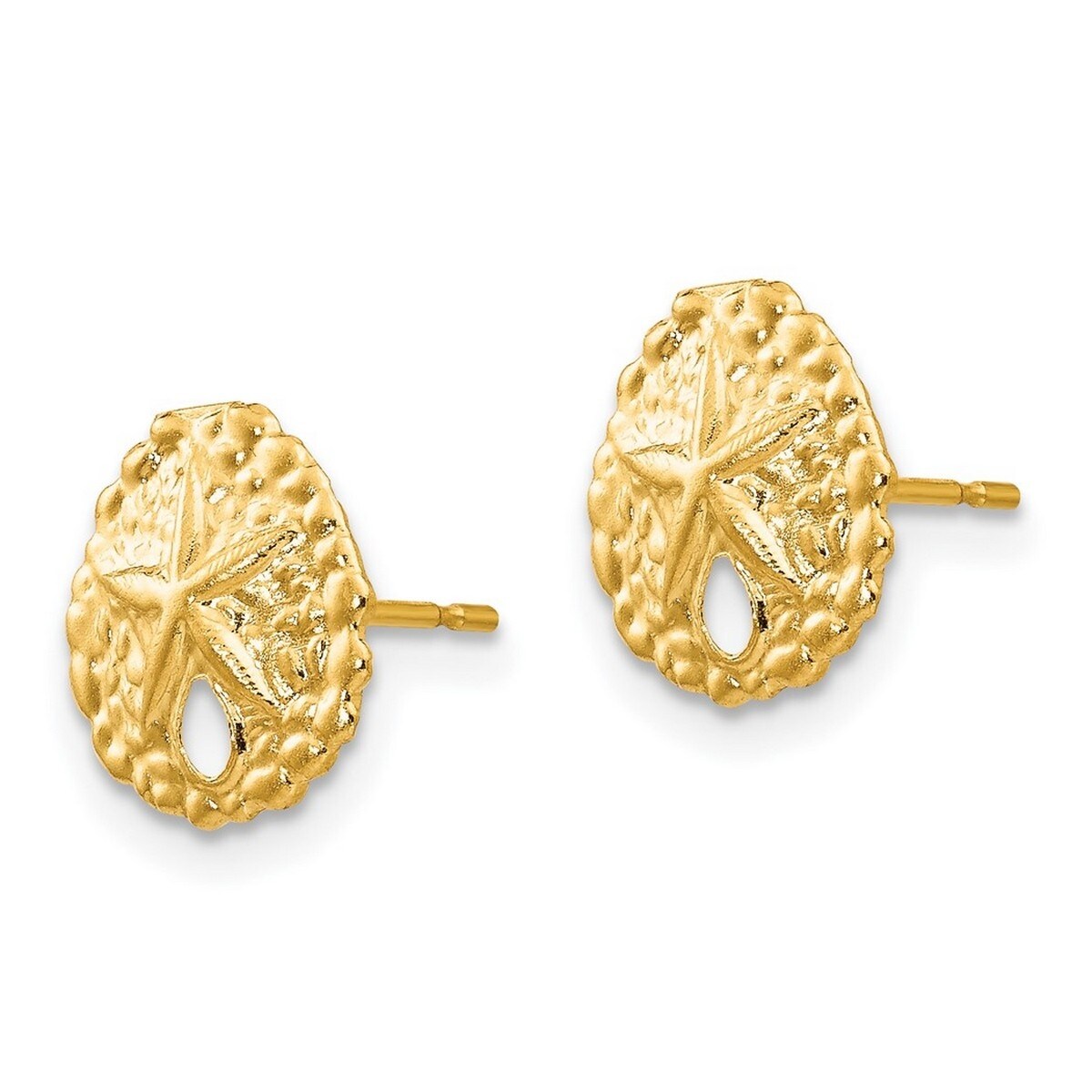14k Yellow Gold Sand-dollar Post Earrings - Orange