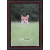 14x10 Traditional Mahogany Complete Wood Picture Frame with UV Acrylic, Foam Board Backing, & Hardware