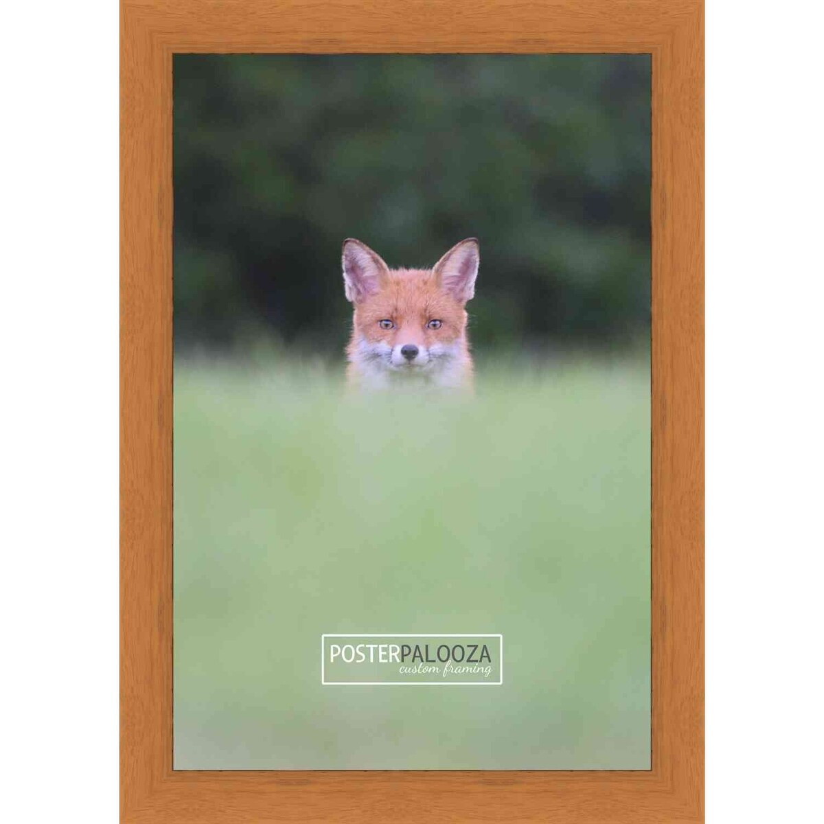 14x16 Traditional Honey Pecan Complete Wood Picture Frame with UV Acrylic, Foam Board Backing, & Hardware