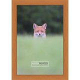 14x16 Traditional Honey Pecan Complete Wood Picture Frame with UV Acrylic, Foam Board Backing, & Hardware