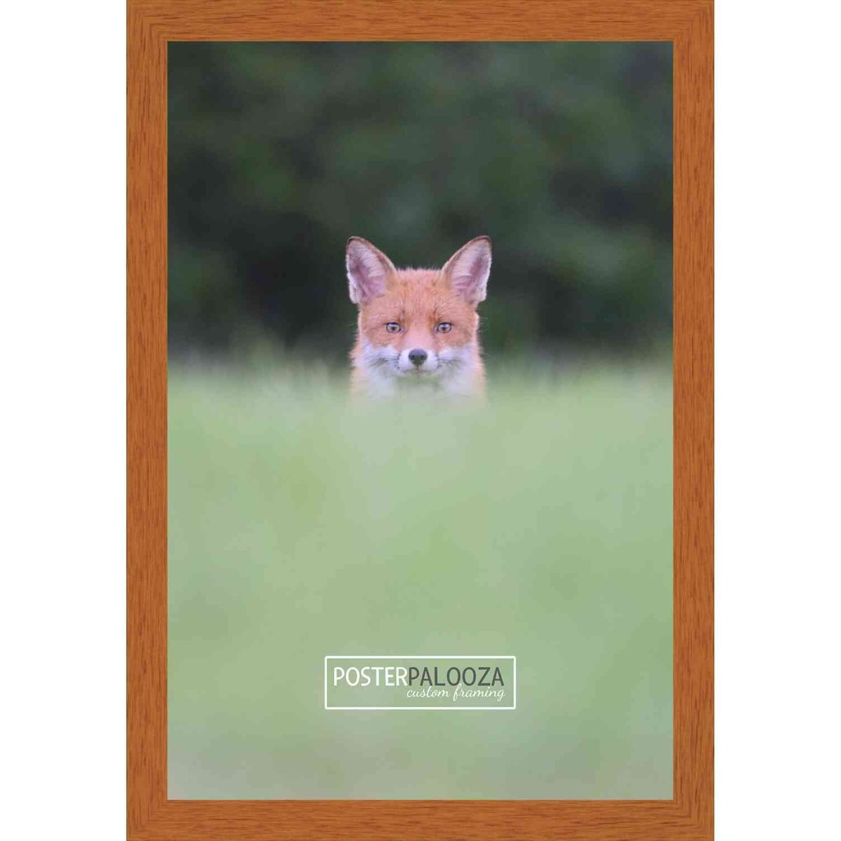 14x18 Traditional Honey Pecan Complete Wood Picture Frame with UV Acrylic, Foam Board Backing, & Hardware