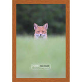 14x18 Traditional Honey Pecan Complete Wood Picture Frame with UV Acrylic, Foam Board Backing, & Hardware