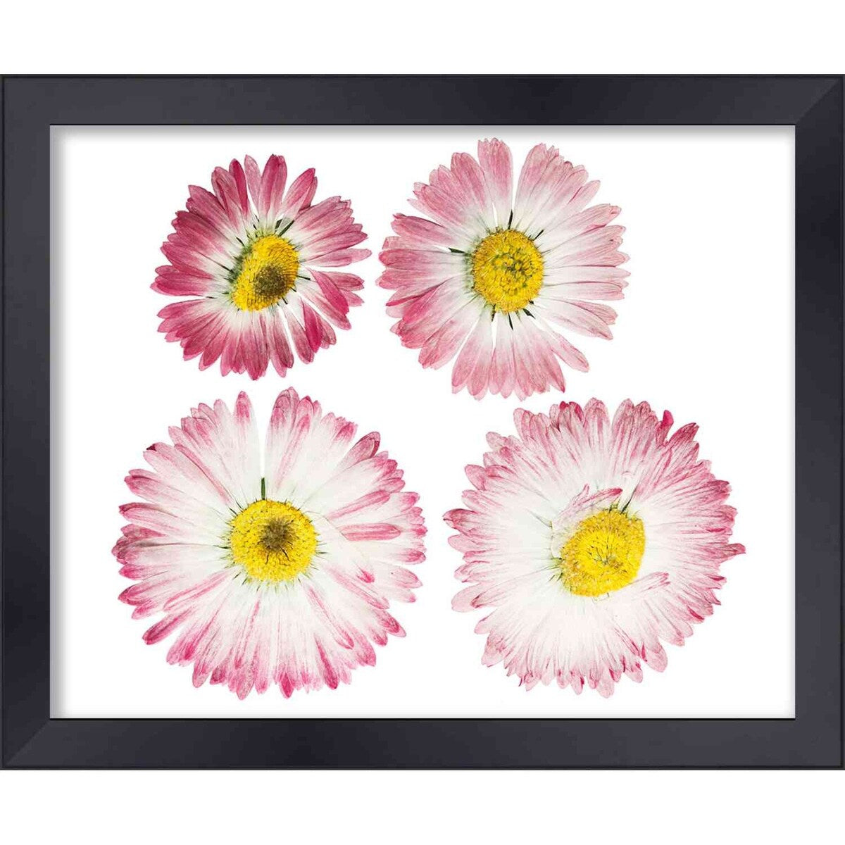 14x19 Black Shadowbox Frame - Interior Size 14x19 x 1.75 In Deep - Black Frame Made to Display Items Up To 1.75 In Deep