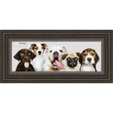 14x40 Contemporary Pewter Complete Wood Panoramic Frame with UV Acrylic, Foam Board Backing, & Hardware
