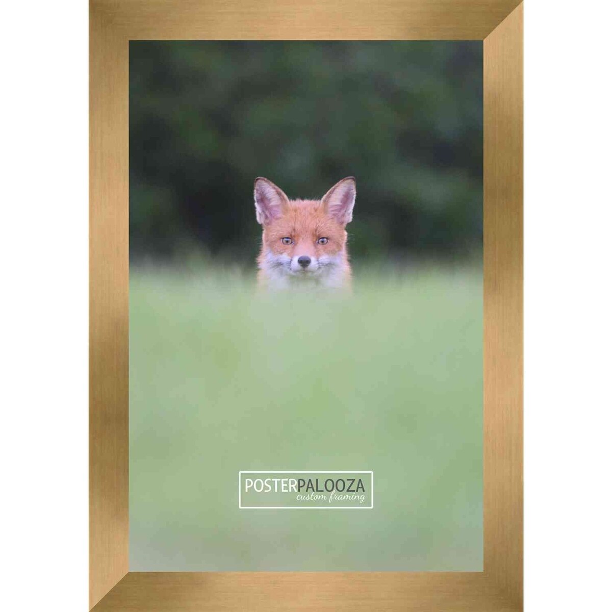 14x8 Contemporary Bronze Complete Wood Picture Frame with UV Acrylic, Foam Board Backing, & Hardware